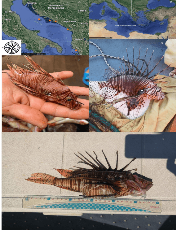 Te pastrojme mbeturinat