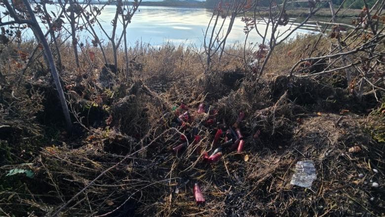 Shkelje e statusit të mbrojtur të Lagunës së Nartës përmes gjuetisë së paligjshme