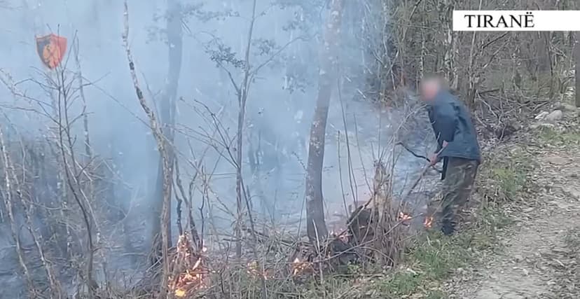 Zjarrvënie në zonë të mbrojtur, procedohet një tjetër rast i krimit mjedisor në Dajt