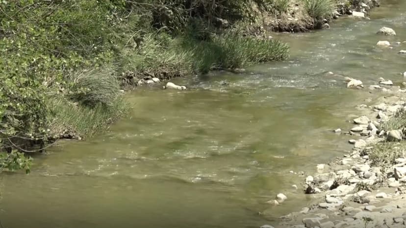 Krim mjedisor në Këlcyrë. Dhjetëra krerë bagëti të ngordhura hidhen në përrua, banorët denoncojnë ndotjen mjedisore